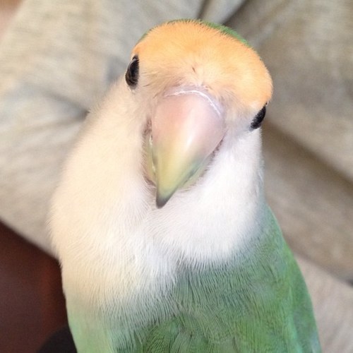 佐藤流司さん🐥kinki光一さん🐤浜田省吾さん🐦が大好き/成人した娘が2人います