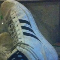 binhierkannlosgehen (@leostern23) 's Twitter Profile