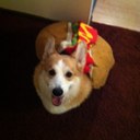 Deb Rasmussen - @RazzieDazzie - Twitter