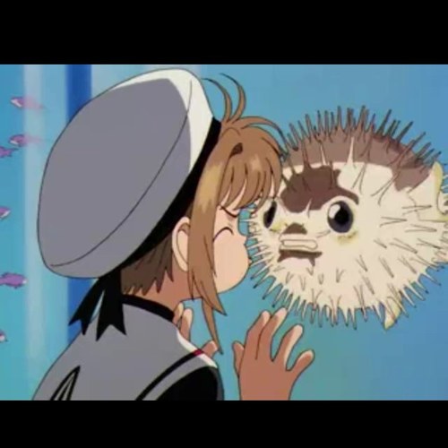 現役J Ｋ。アニメとか漫画が好きです。ＣＣさくら、あの花、ハンター、まどマギ、弱ペダ、進撃、だぁだぁだぁ、グレンラガン、幽遊白書、、雑食系！もりもり！フォローして下さい神様！
