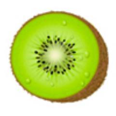 With an emphasis on cutting-edge technology and beautiful design, Kiwi Designs is a forward-thinking global design firm.
Basically, we make cool websites :-)