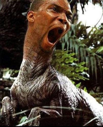 Follow for funny tweets about basketball. #TeamDino #BackToBack #WorldChampion **65 MILLION YEAR PRO** (Parody account, not affiliated with the real Chris Bosh)