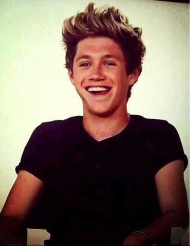 1Dwillneverend1's profile picture. I used to be @irishbabe202 so plz followers follow me back, thanks. I don't support haters. Niall I hope one day you will notice me.0/5 :-(