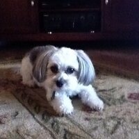 skidmoreflash (@skidmoreflash) 's Twitter Profile