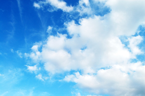 sky_bubbles's profile picture. 