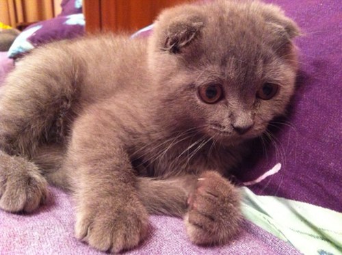 EskinSergey's profile picture. 