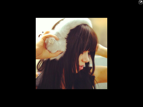Carly Rae Jepsen♡ || Jepsies ♡♥