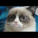 sarah abrahams  - @bananachappies - Twitter