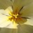 JudithLHarvey's profile image