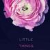Little Things (@celittle_things) Twitter profile photo