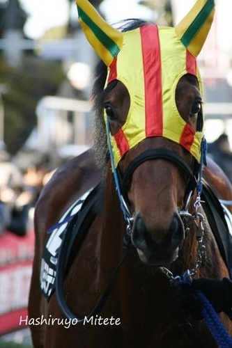yakudosiha's profile picture. 競馬が好き。藤井風好き。ミスチル好き。ハンバーグ好き。ラーメン好き。