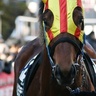 yakudosiha's profile picture. 競馬が好き。藤井風好き。ミスチル好き。ハンバーグ好き。ラーメン好き。