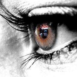 Fifi__1D's profile picture. Hello! Hungary is my favorite and I am a Directioner Harry! But I really love all of them!