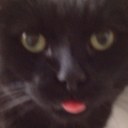 Pablo Tanner - @the_el_pablo - Twitter