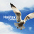 halifaxcollect's profile image