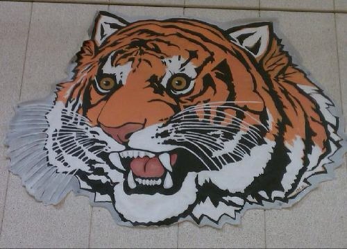 ihstigers Profile Picture