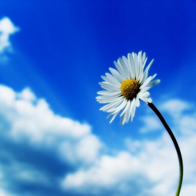 Profile Picture of Michelle Potts (@ShellyPotts1990) on Twitter