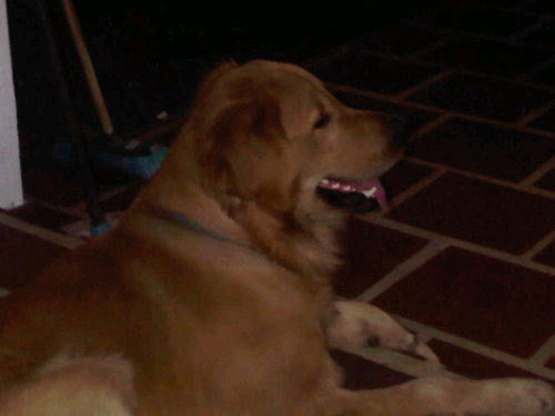 losaugustos's profile picture. TACHIRA San Cristóbal venezolano.