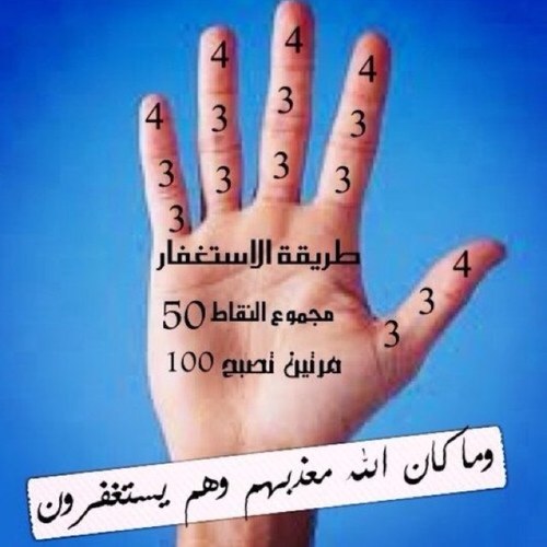 حساب لنشر مقاطع القرآن الكريم والأحاديث والرسائل الدينية والتشهّد والتهليل ... يارب اجعله شفيعاً لي ولوالداي ولكم وللمسلمين أجمعين ~ ♡ ♡ صاحب الحساب @alshuhill1