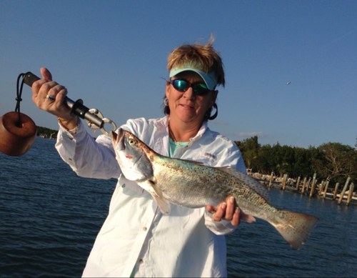 FL cracker - love fishing, boating and the water. Currently transplanted to the old Republic of West Florida but SWFL will always be home.