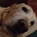 Dave MacGown - @DaveMacGown - Twitter