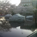 Barb Masters - @barb_masters15 - Twitter