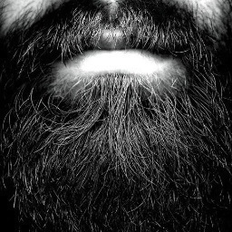 beardinmoscow's profile picture. Only beards and mustaches