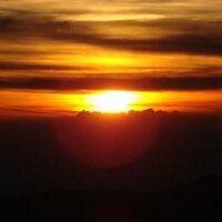 🟠戦争しない 煽らない国 ワクチン強制しない国日本🟠参政党党員(個人) (@sunlight9501) 's Twitter Profile