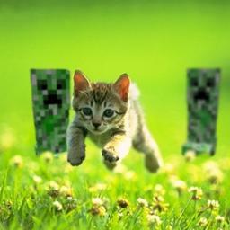 Me sigam e sigo de volta!Sempre vou recomendar os melhores jogos e pedirei ajuda para vcs sobre quais jogos devo comprar!