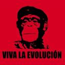 Bob Stein - @BobStein3000 - Twitter