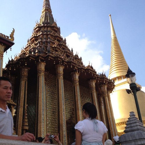 pop_foxpop's profile picture. 