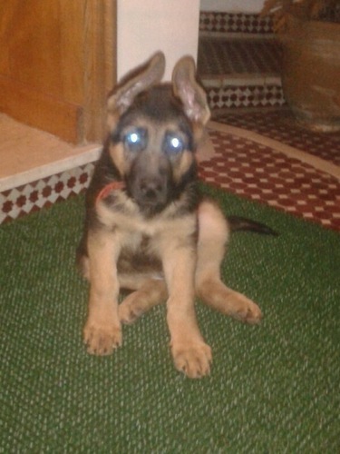 anousbooghnim's profile picture. 