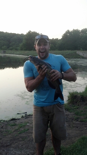 cibacon's profile picture. 