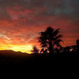 gycdemariac's profile picture. 