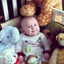 Jill Reimer - @yorkiereimer - Twitter