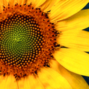 Barbara Gerke - @SunnySideUP_PDX - Twitter