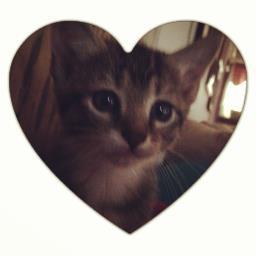 pansqueen's profile picture. Conservative wife and mom. pro-life, pro-god, pro-guns and proud of it!!