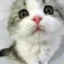 Joseph Moore - @JosephM99344599 - Twitter