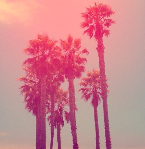 VossyVoss's profile picture. 