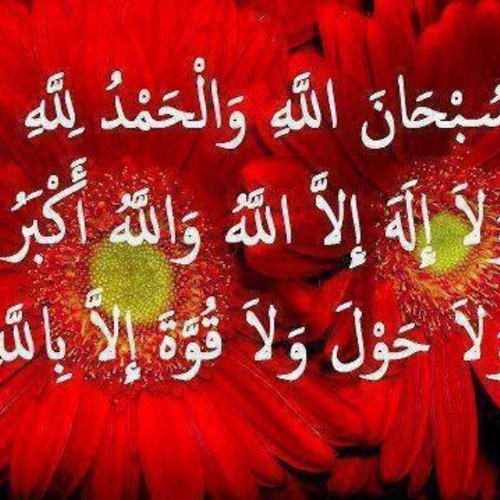 fatmayhya6927's profile picture. اللغة العربية ابنة العقيدة وأم العلوم وحاضنة العاطفة