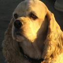 Dale Meeks - @dalemeeks1 - Twitter