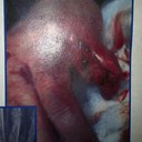 Taylor Ralston - @RalstonTaylor - Twitter