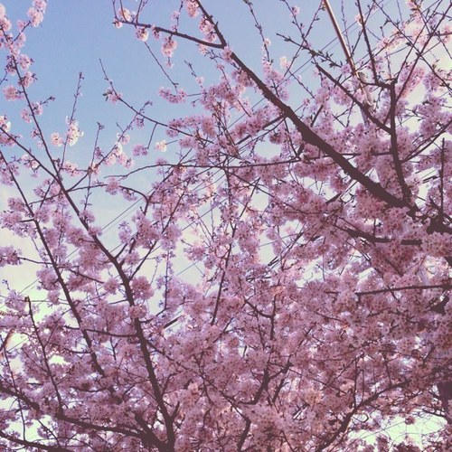 colleenmetzger1's profile picture. Art, Education, Travel, Social Content from Nashville and Franklin Tennessee