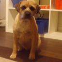 Harry Devlin - @devlin_harry - Twitter