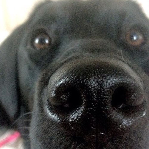 Carr_LHS's profile picture. Head of English at Lutterworth High School