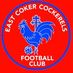 East Coker Mens Fc (@east_cokerfc) Twitter profile photo