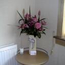 sandra glen - @glens332 - Twitter