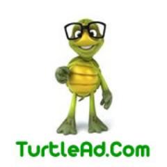 Find the Best Cheap Web Hosting, Cheap VPS and Cheap Dedicated Server with Windows RDP, Server Management Offers and hosting related everything.