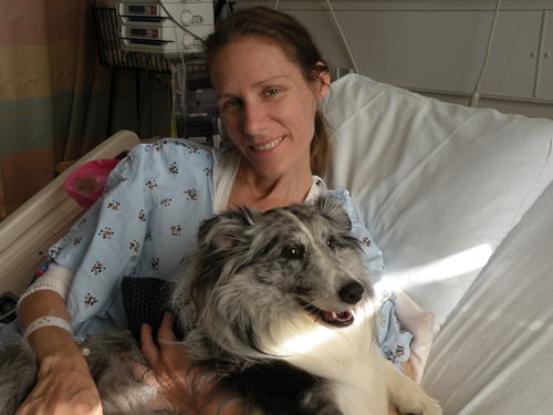 Ovarian Cancer Survivor, on chemotherapy,  Service Dog is Blue Merle Sheltie, Medicinal Marijuana patient, Fan of: Green Packers & San Jose Sharks! Go Sharks!