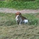 Carol Diann Smith - @WvuSmith - Twitter